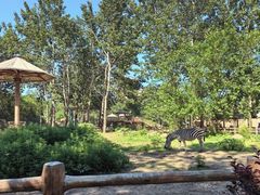 -大连森林动物园