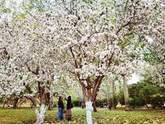 -元大都城垣遗址公园