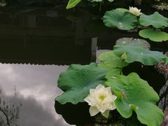 -厦门园林博览苑
