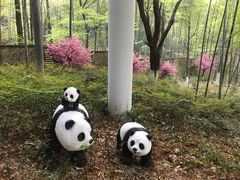 -天目湖御水温泉·度假酒店