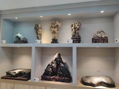 -宝安区结缘奇石博物馆