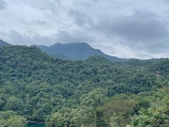 -鼎湖山风景区