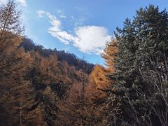 -秦岭风景区