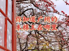 -广州中山纪念堂