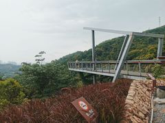 -阳台山森林公园