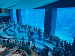 -三亚海棠湾喜来登度假酒店