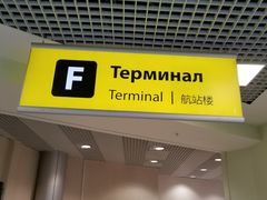 -谢列梅捷沃国际机场
