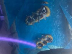 -青岛东方影都融创水世界