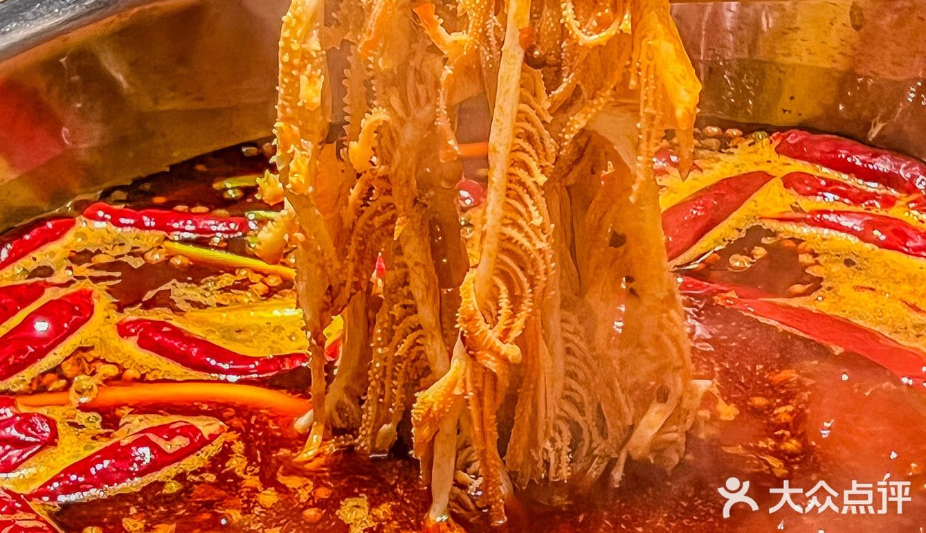 离开上海之前一定要去一次！！?