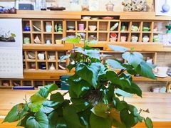 -今日陶艺(富力广场店)