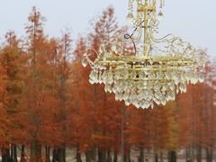 -白鹭湾湿地公园