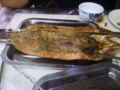 -煲来饱去冷水鱼