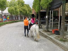 -金庭庄园酒店-停车场