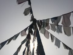 -武清南湖绿博园