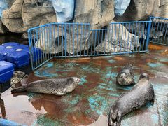 -华夏文旅海洋公园