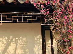-八大山人梅湖景区