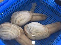 -七鲜渔港美食餐厅(巽寮湾海景店)