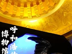-呼和浩特博物馆