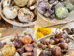 -鲜菌江湖正宗野生菌火锅