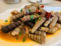 辣炒丁螺-华盛丰温州大排档(东三环南路店)