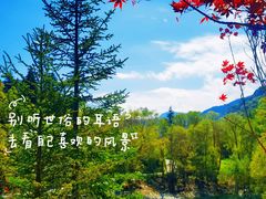-叠溪松坪沟景区