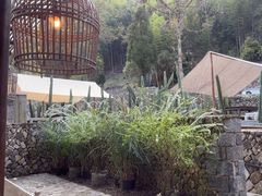 -MOJ coffee(瓯海泽雅水碓坑店)