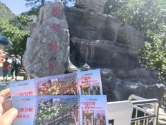 -大岭沟猕猴桃谷风景区