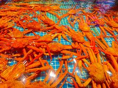 -驻海渔市(置信店)