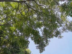 -尚贤河湿地