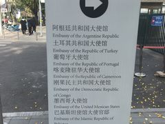 -三里屯东五街银杏大道