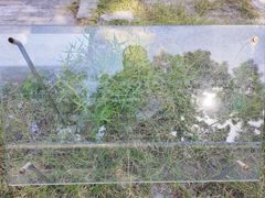 -皇城根遗址公园-东安门遗址