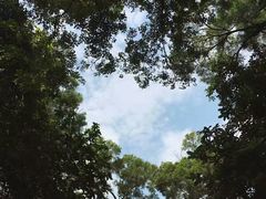 -南丫岛