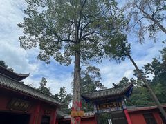 -黔灵山公园
