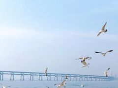 -星海广场
