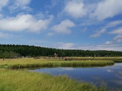 -塞罕坝国家级自然保护区