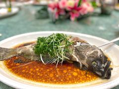 -大东海海鲜酒楼(渔人码头总店)