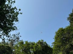 -海口火山口国家地质公园