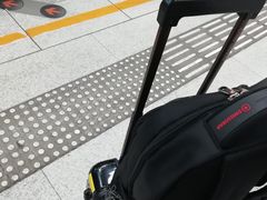 -小白楼1902欧式风情街