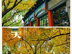 -四川大学(华西校区)