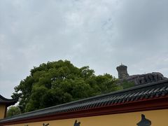 -上海东林寺(金山区)