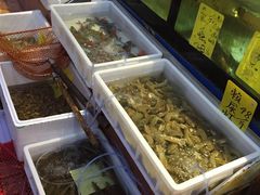 -湛江明记(湛江鸡湛江生蚝)