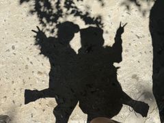 -少华山国家森林公园