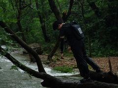 -铜陵市铜官山森林公园