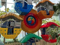 -南宫五洲植物乐园