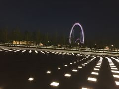 -南京眼步行桥