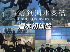 -芜湖新华联大白鲸海洋公园