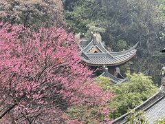 -韬光茶庵