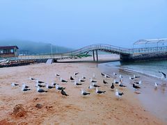 -海驴岛(荣成市)