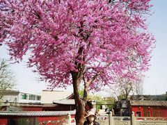 -天宁寺