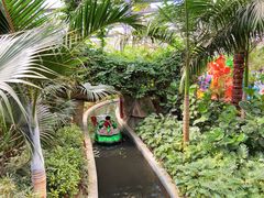 -南宫五洲植物乐园